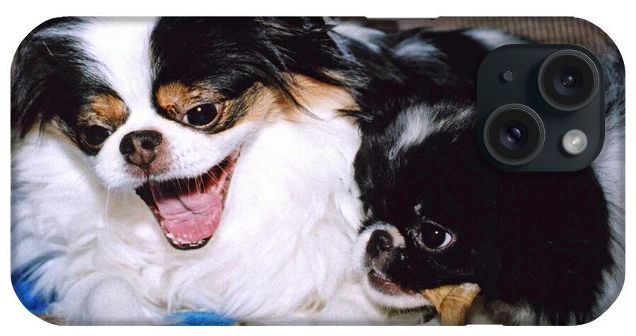Japanese Chins iPhone Case featuring the photograph Japanese Chin Dogs Hanging Out and Telling Stories by Jim Fitzpatrick
