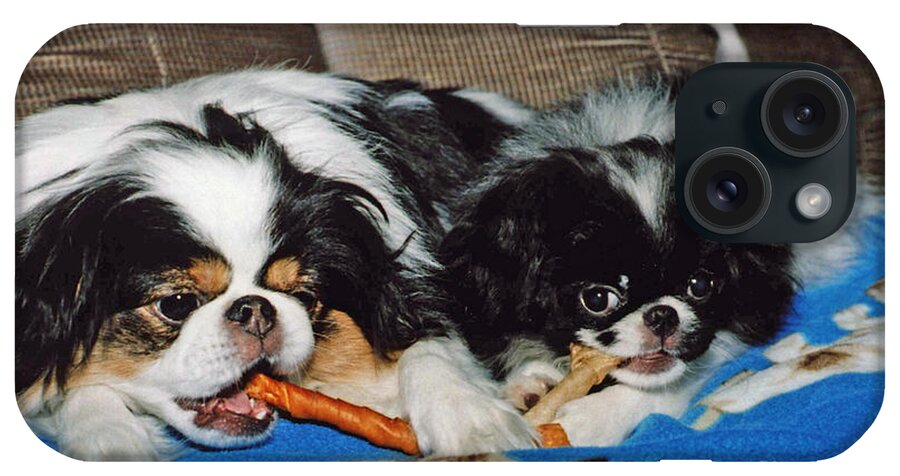 Japanese Chins iPhone Case featuring the photograph Japanese Chin Dogs Hanging Out by Jim Fitzpatrick