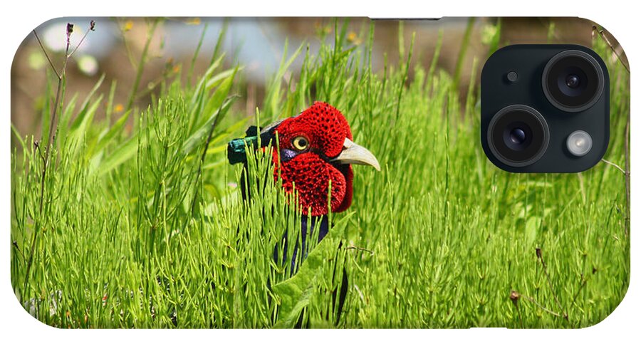 Grass iPhone Case featuring the photograph Japanese Green Pheasant by Damon Bay