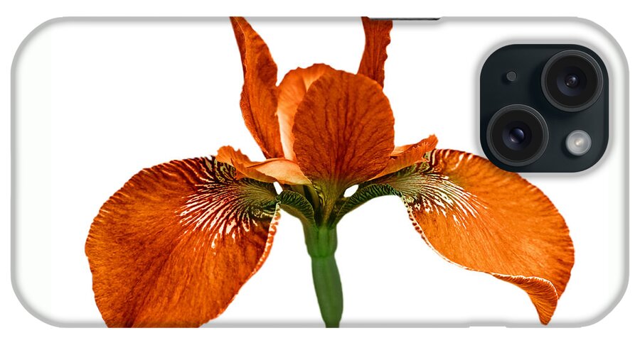 Iris iPhone Case featuring the photograph Japanese Iris Orange White Three by Jennie Marie Schell