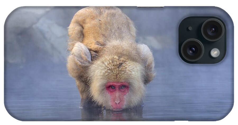 Thomas Marent iPhone Case featuring the photograph Japanese Macaque Drinking From Hot by Thomas Marent