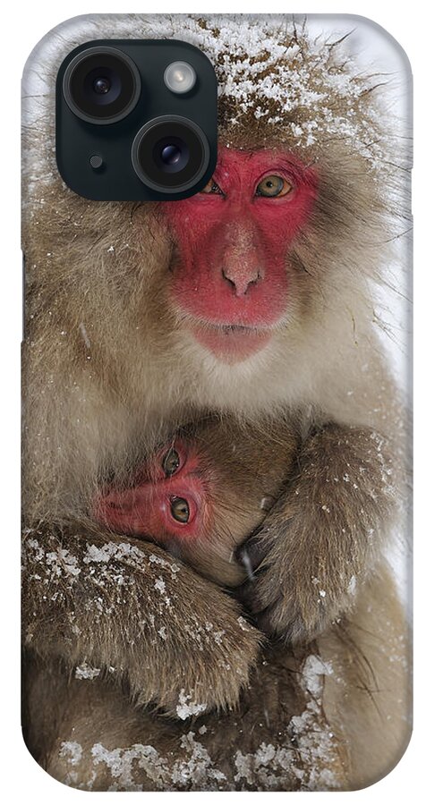 Thomas Marent iPhone Case featuring the photograph Japanese Macaque Warming Baby by Thomas Marent