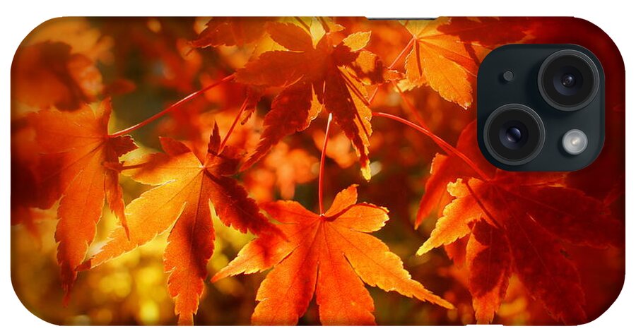 Leaves iPhone Case featuring the photograph Japanese Maple in Fall by Nathan Abbott