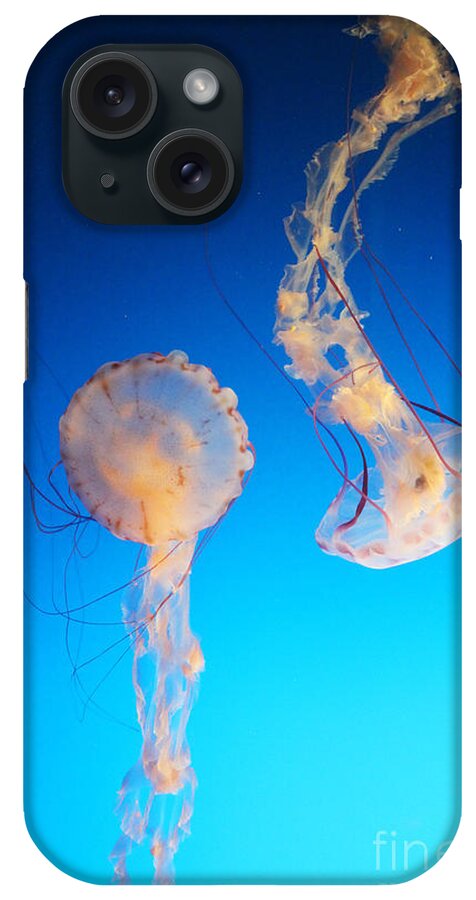Jellyfish iPhone Case featuring the photograph Jellies in Blue by Cheryl Del Toro