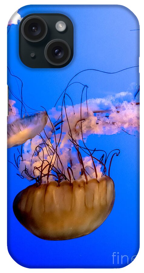 Deep iPhone Case featuring the photograph Jelly Fish by Cheryl Baxter