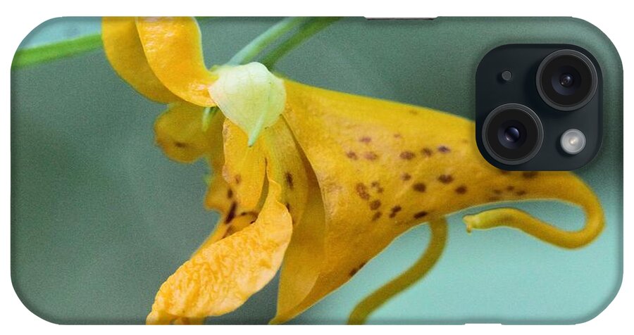 Jewel Weed iPhone Case featuring the photograph Jewel Weed by Doris Potter