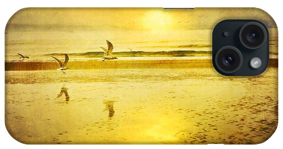 Beach iPhone Case featuring the photograph Jogging On Beach With Gulls by Theresa Tahara