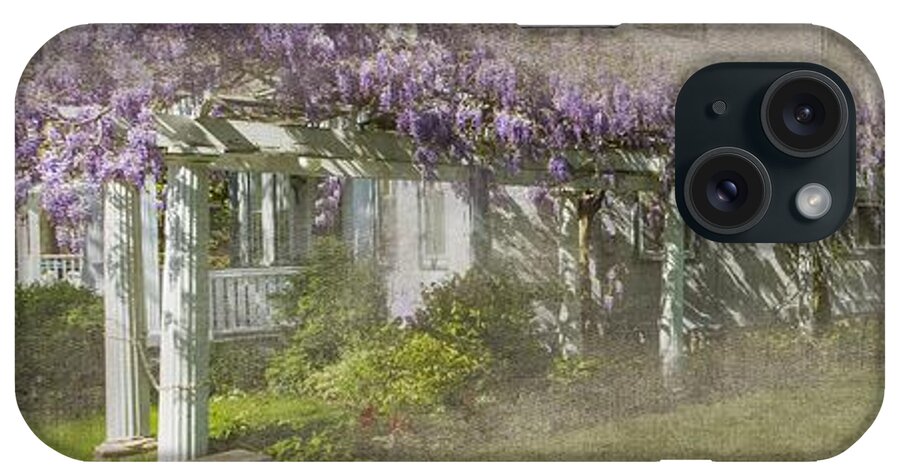 Flowers iPhone Case featuring the photograph Jordan Wisteria - Study of the Long View by Marilyn Cornwell