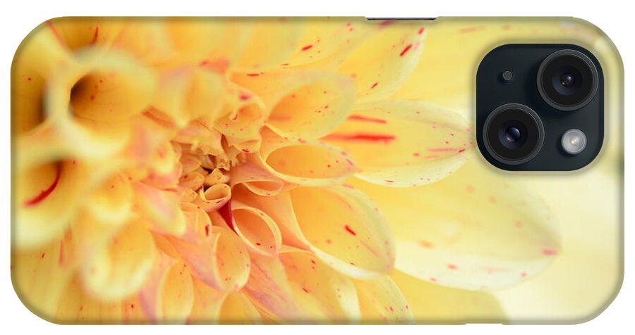 Dahlia iPhone Case featuring the photograph Joyce's Yellow Speckled Dahlia by Kathy Paynter