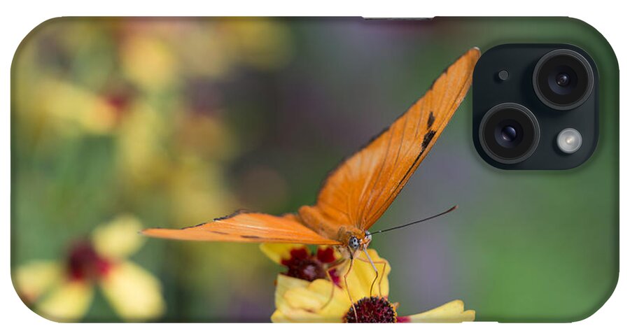 Butterfly iPhone Case featuring the photograph Julia Butterfly by Cathy Donohoue