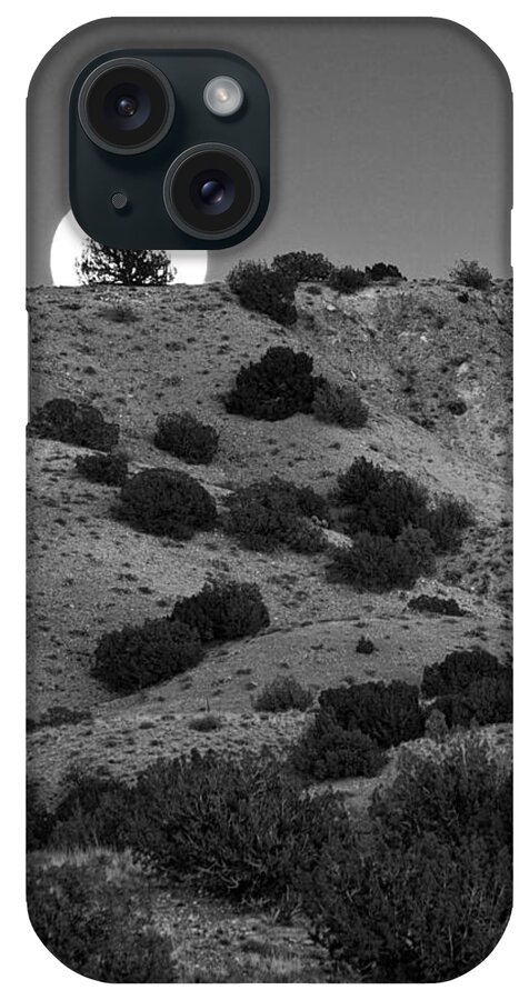 Juniper iPhone Case featuring the photograph Juniper at Moonrise by Mary Lee Dereske