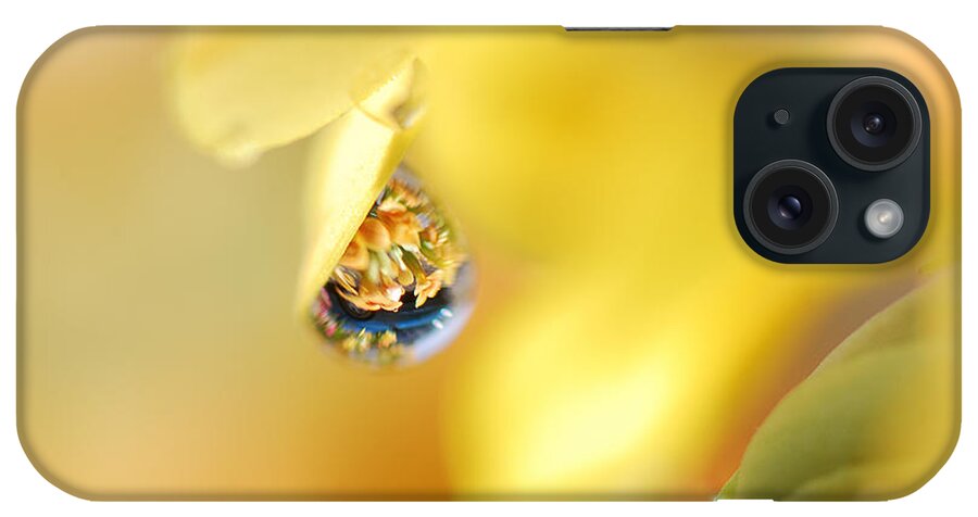 Water Drops iPhone Case featuring the photograph Just a Drop of Spring by Sue Capuano