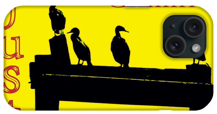Birds iPhone Case featuring the photograph Just Chillin' by Deborah Crew-Johnson