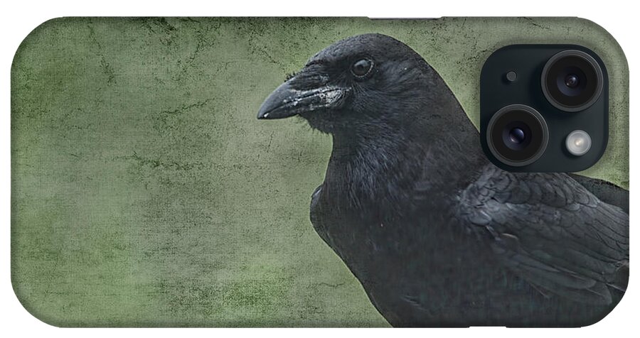 Raven iPhone Case featuring the digital art Just Passing Through by Sue Capuano