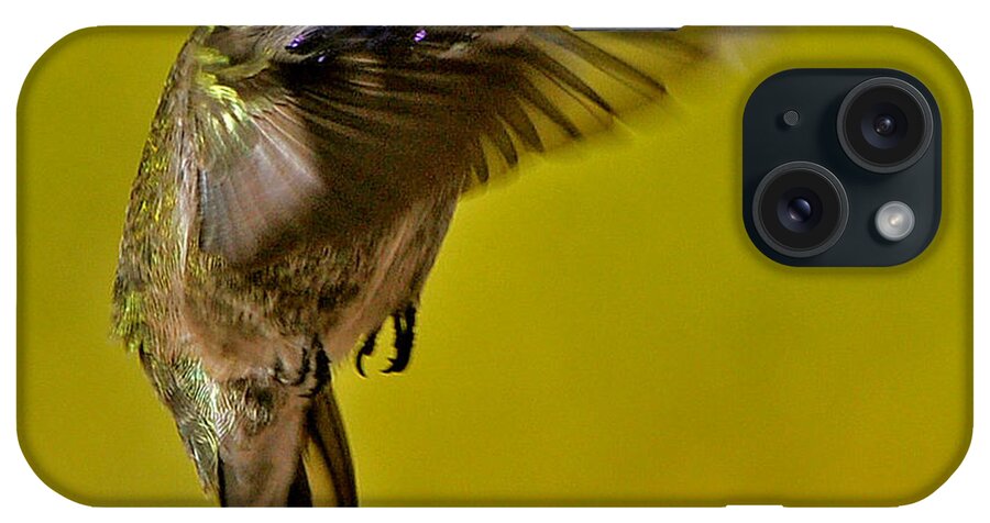 Hummingbird iPhone Case featuring the photograph Juvenile Male Allen Hummingbird In Flight Ready To Land by Jay Milo