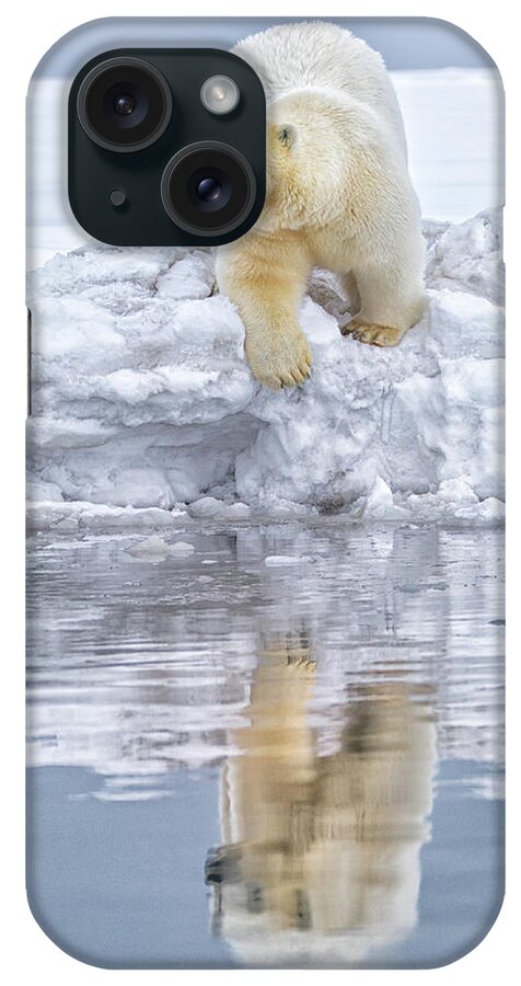 Snow iPhone Case featuring the photograph Kaktovic Polar Bear Reflection by Michael J. Cohen, Photographer