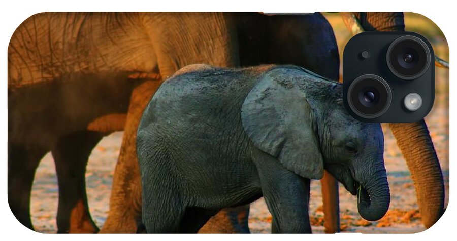 Elephants iPhone Case featuring the photograph Kalahari Elephants by Amanda Stadther