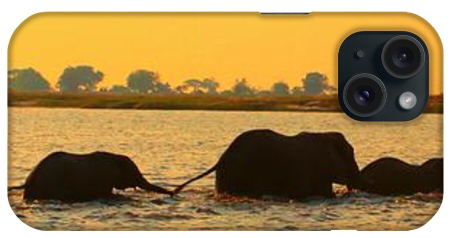Elephants iPhone Case featuring the photograph Kalahari Elephants Crossing Chobe River by Amanda Stadther