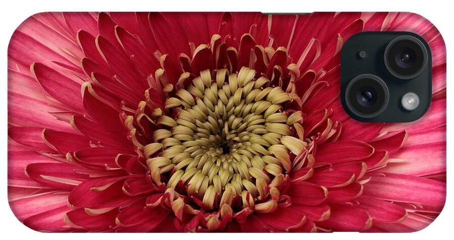 Connie Handscomb iPhone Case featuring the photograph Pink Petal Universe by Connie Handscomb