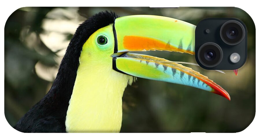 Toucan iPhone Case featuring the photograph Keel billed toucan by James Brunker