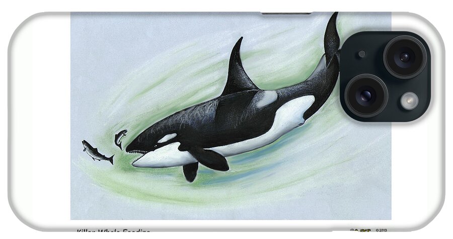 Whales iPhone Case featuring the pastel Killer Whale Feeding by Art MacKay