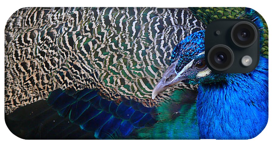 Peacock iPhone Case featuring the photograph King of Colors by Evelyn Tambour