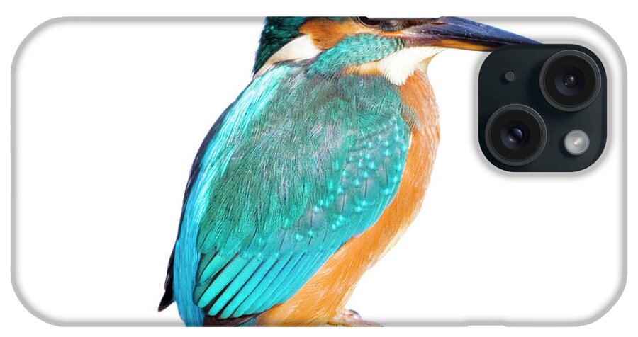 White Background iPhone Case featuring the photograph Kingfisher Alcedo Atthis by Andrew howe