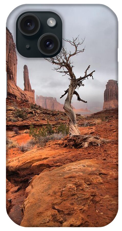Arches iPhone Case featuring the photograph King's Tree by David Andersen