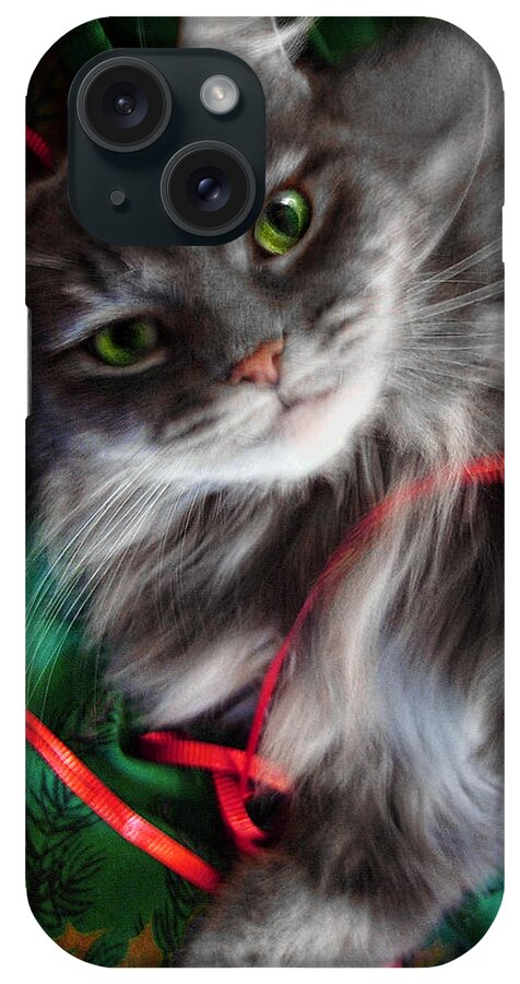 Cat iPhone Case featuring the photograph Kitty Christmas Card by Louise Kumpf
