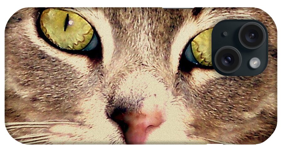 Cat iPhone Case featuring the photograph Kitty Green Eyes by Suzy Piatt