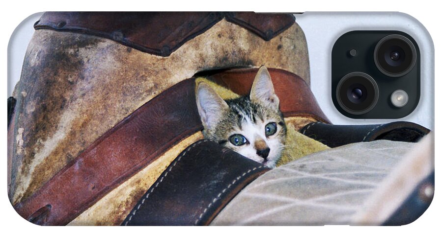 Cat iPhone Case featuring the photograph Kitty in the Saddle by Kae Cheatham