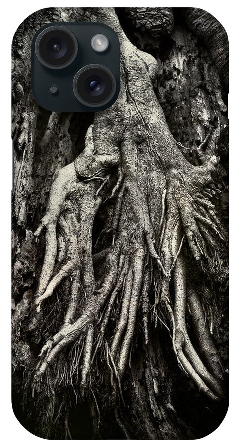 Tree iPhone Case featuring the photograph Kneeling at the Feet of the Green Man by Rebecca Sherman