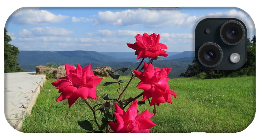 Floral iPhone Case featuring the photograph Knock Out Rose by Aaron Martens