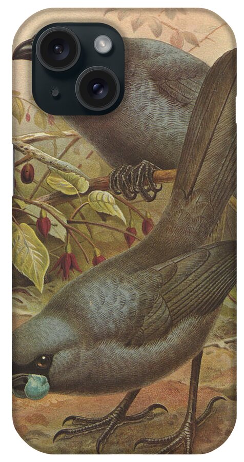 Kokado iPhone Case featuring the painting Kokado by Dreyer Wildlife Print Collections 