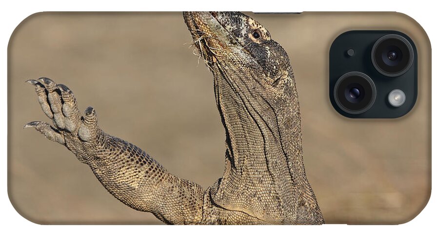 Komodo Dragon iPhone Case featuring the photograph Komodo Dragon by M. Watson