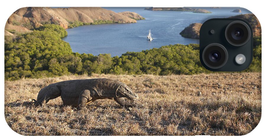 Komodo Dragon iPhone Case featuring the photograph Komodo National Park by M. Watson