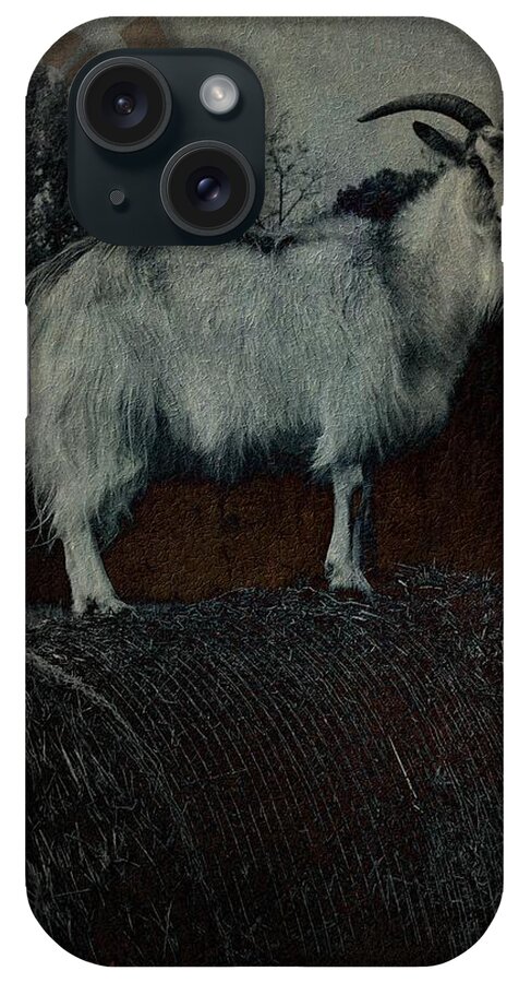 Capra iPhone Case featuring the photograph La Capra - The Goat by Mimulux Patricia No