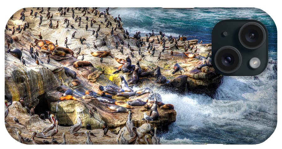 Photography iPhone Case featuring the photograph La Jolla Cove Wildlife by Dusty Wynne
