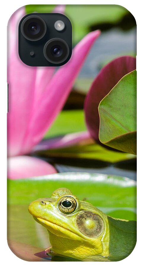 Ladew Gardens iPhone Case featuring the photograph Ladew Flog by Georgette Grossman