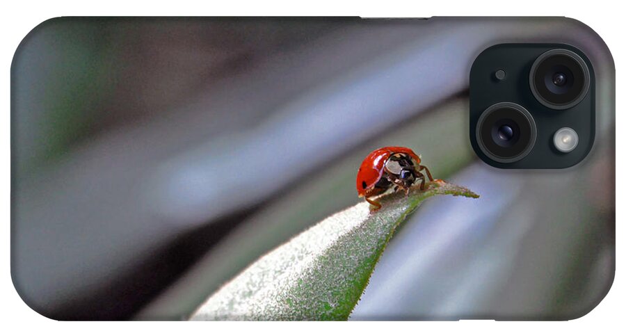 Nature iPhone Case featuring the photograph Ladybug on a Leaf by Kay Lovingood