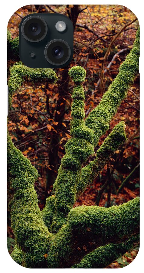 Scotland iPhone Case featuring the photograph Lael Forest Garden #1 by Tom Daniel