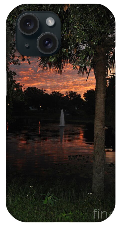 Lake iPhone Case featuring the photograph Lake Play Florida by George D Gordon III