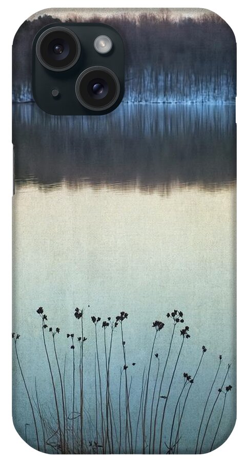 Winter Lake Landscape iPhone Case featuring the photograph Lakeside Winter Flowers by Melissa Bittinger