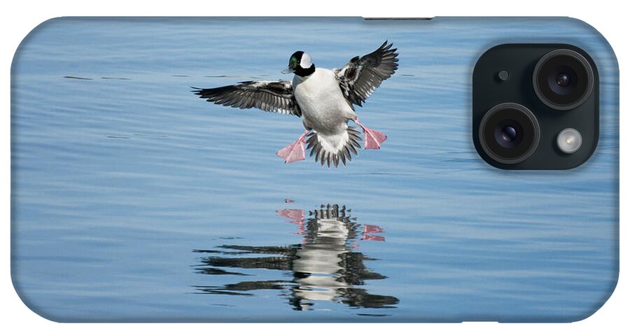 Bufflehead iPhone Case featuring the photograph Landing Gear Engaged by Betty Depee