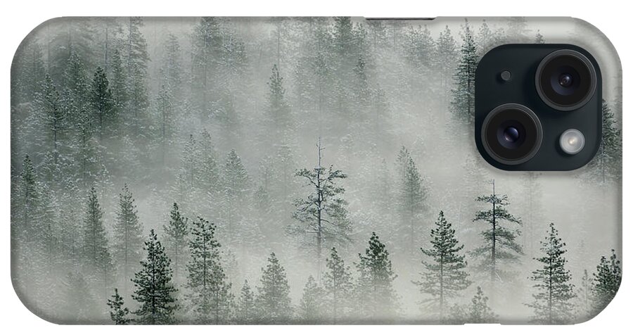 Scenics iPhone Case featuring the photograph Landscape With Misty Forest In Yosemity by Rezus