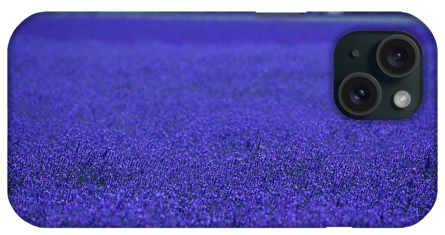 Tranquility iPhone Case featuring the photograph Lavender Field by Meriel Lland