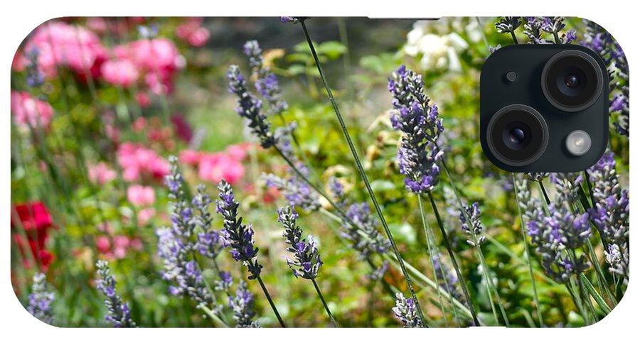 Lavender iPhone Case featuring the photograph Lavender In Bloom by Michele Myers