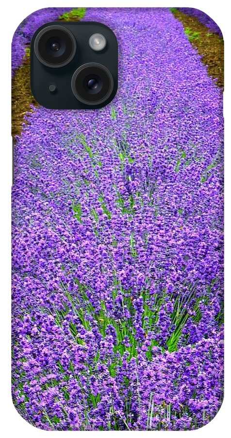 Lavender Rows iPhone Case featuring the photograph Lavender Rows by Susan Garren
