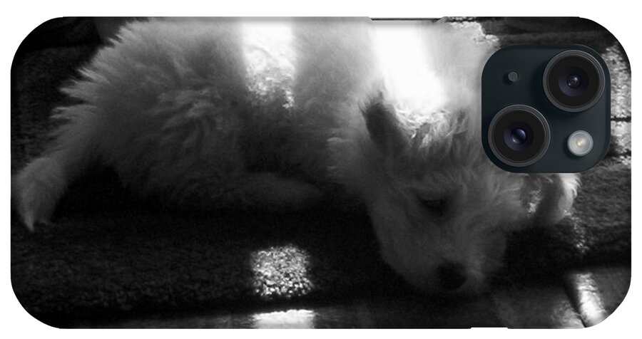 Puppy iPhone Case featuring the photograph Lazy Days by Michael Krek