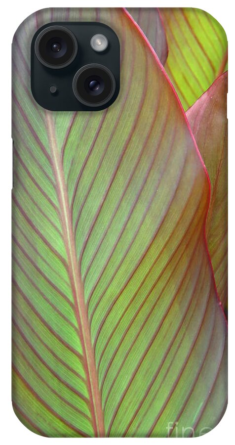 Leaf iPhone Case featuring the photograph Leaf by Anita Adams